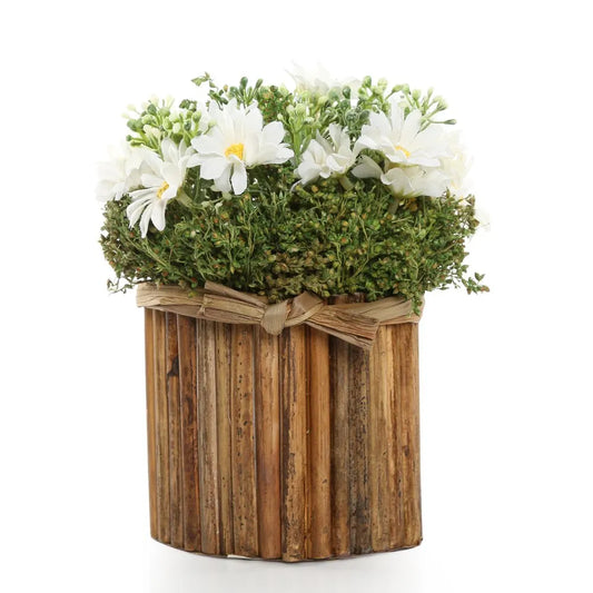 Artificial Daisy with Pot (White)