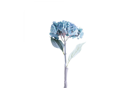 Hydrangea Single Stem (Blue/Green)