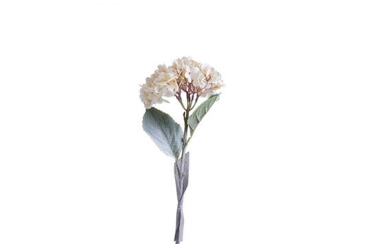 Hydrangea Single Stem (Cream)